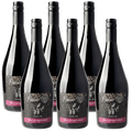 6x Sparkling Balík