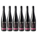 Premium balíček (6x Pádář Premium)