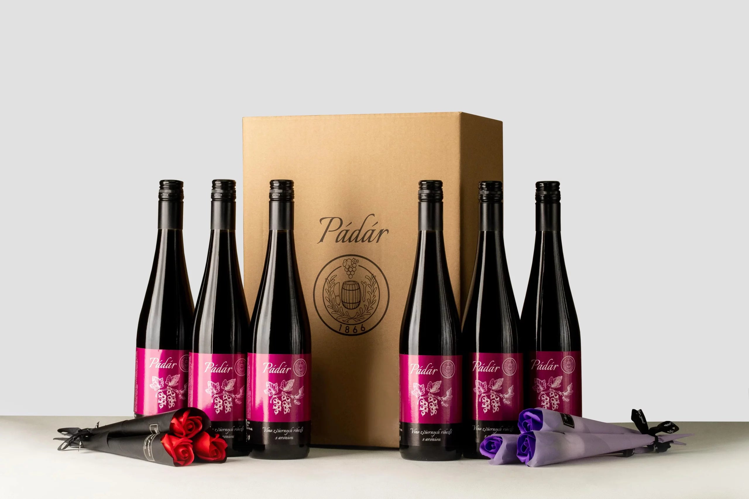 Balíček Aronia + Papírové růže (6x arónie + 6x růže)