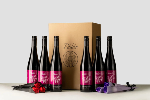 Balíček Aronia + Papírové růže (6x arónie + 6x růže)